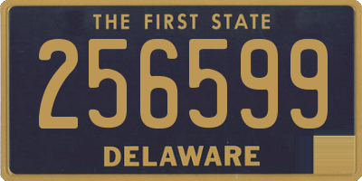 DE license plate 256599