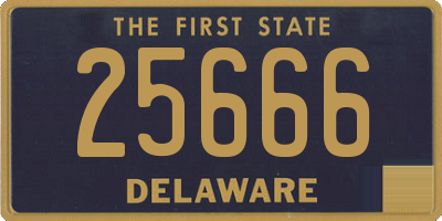 DE license plate 25666