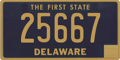 DE license plate 25667