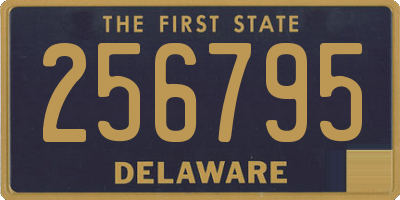 DE license plate 256795