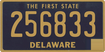 DE license plate 256833