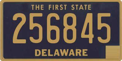 DE license plate 256845