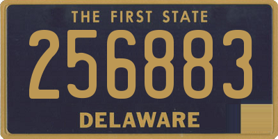 DE license plate 256883