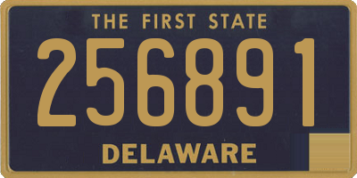 DE license plate 256891