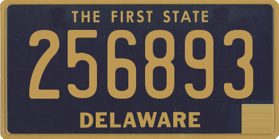 DE license plate 256893