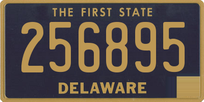 DE license plate 256895