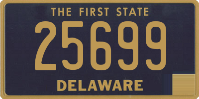 DE license plate 25699