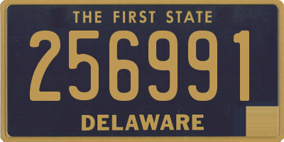 DE license plate 256991