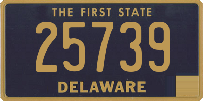 DE license plate 25739