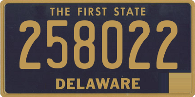DE license plate 258022