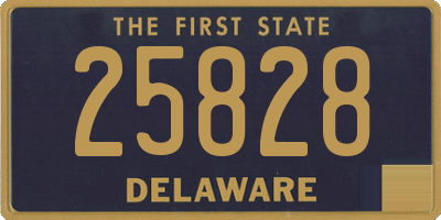 DE license plate 25828