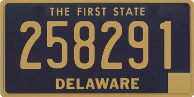 DE license plate 258291