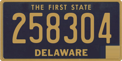 DE license plate 258304