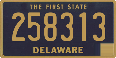DE license plate 258313