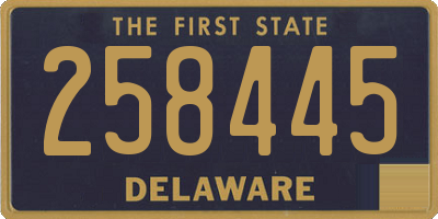 DE license plate 258445