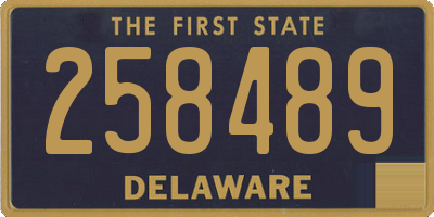 DE license plate 258489
