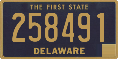 DE license plate 258491