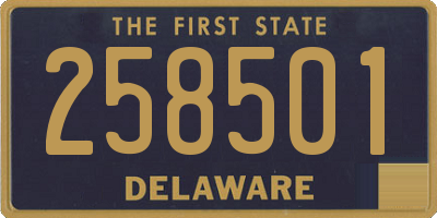 DE license plate 258501