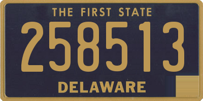 DE license plate 258513