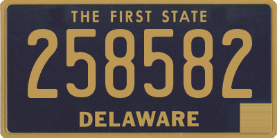 DE license plate 258582
