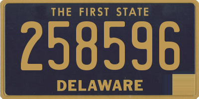 DE license plate 258596