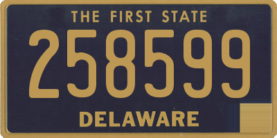 DE license plate 258599