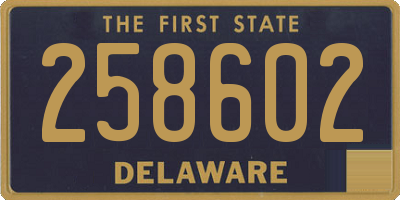 DE license plate 258602