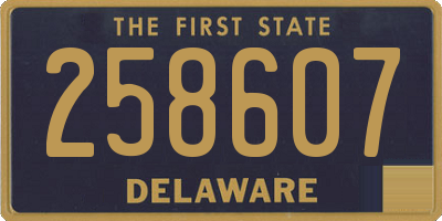 DE license plate 258607