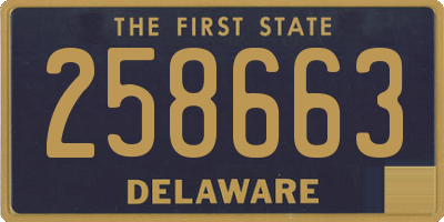 DE license plate 258663