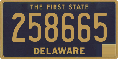 DE license plate 258665