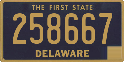 DE license plate 258667
