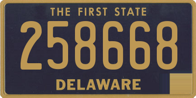 DE license plate 258668