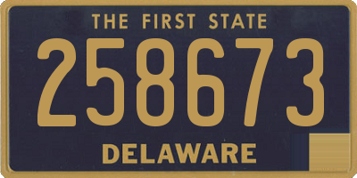 DE license plate 258673