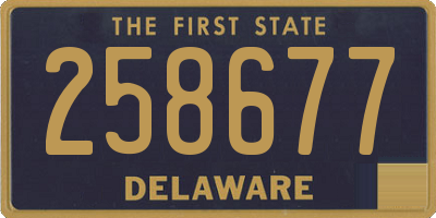 DE license plate 258677