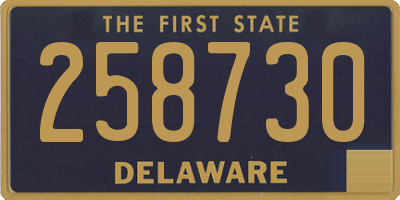 DE license plate 258730