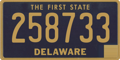 DE license plate 258733