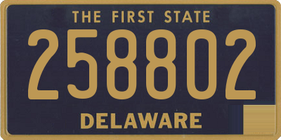 DE license plate 258802