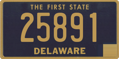 DE license plate 25891