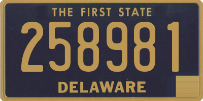 DE license plate 258981