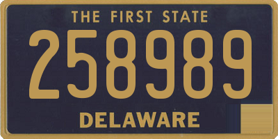 DE license plate 258989
