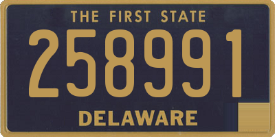 DE license plate 258991