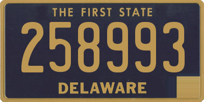 DE license plate 258993
