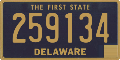 DE license plate 259134