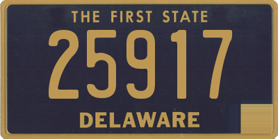 DE license plate 25917