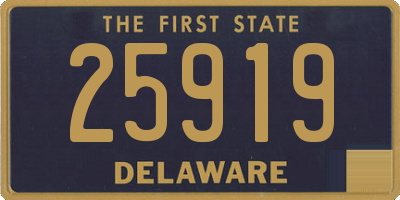DE license plate 25919