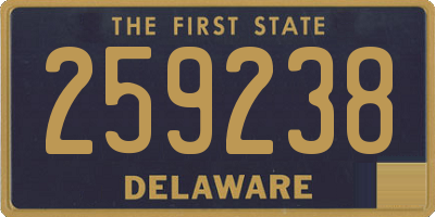 DE license plate 259238