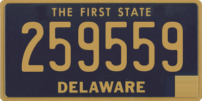 DE license plate 259559