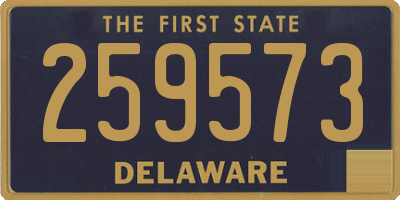 DE license plate 259573
