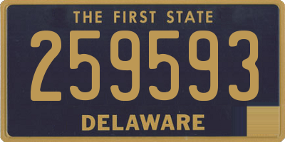 DE license plate 259593