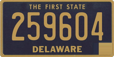 DE license plate 259604